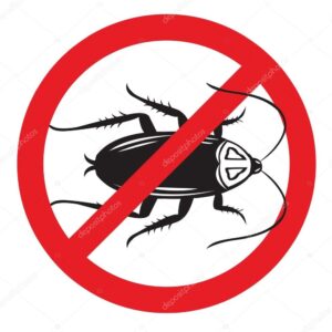 1 BHK Cockroach Pest Control