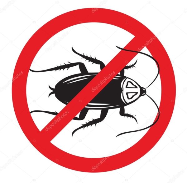 1 BHK Cockroach Pest Control